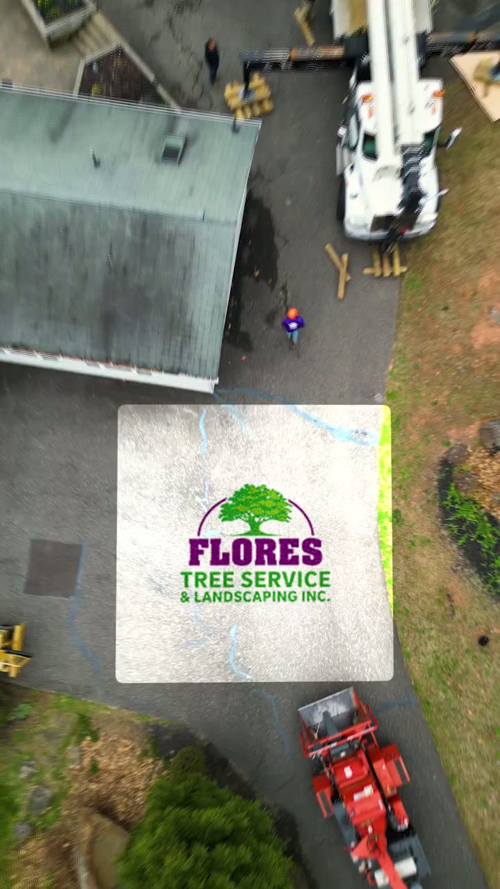 Flores Tree Service — Tree Service